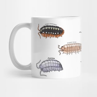 Isopod sticker pack 1 Mug